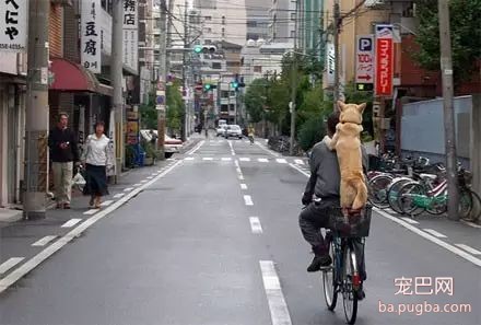 爱狗的男生都是最帅的，你同意吗？-21.jpeg