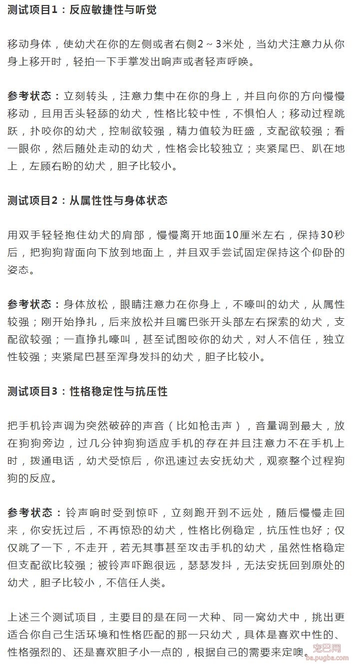 挑选幼犬的实用小测试-1.jpeg