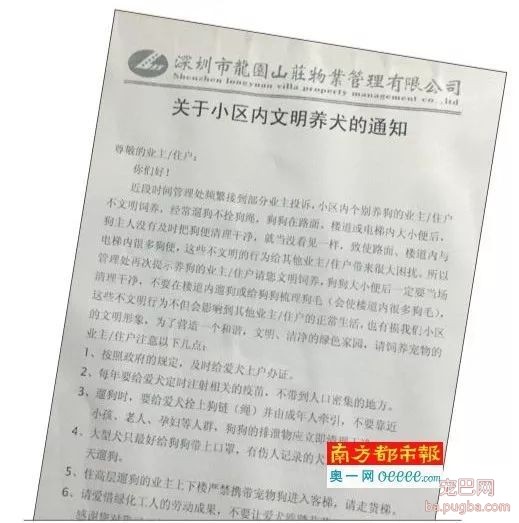 小区养狗不能用客梯？谁想出来的这种奇葩规定-1.jpeg