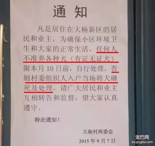 小区养狗不能用客梯？谁想出来的这种奇葩规定-4.jpeg