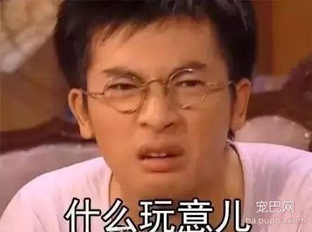 小区养狗不能用客梯？谁想出来的这种奇葩规定-2.jpeg