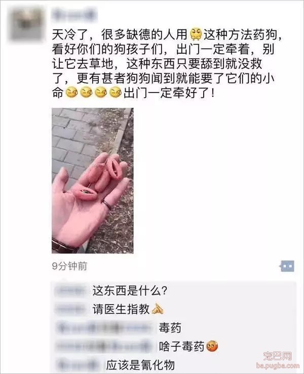 小区养狗不能用客梯？谁想出来的这种奇葩规定-5.jpeg