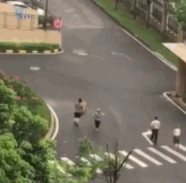 顺德打死金毛凶手已被刑拘，贱贱一路走好！-5.gif