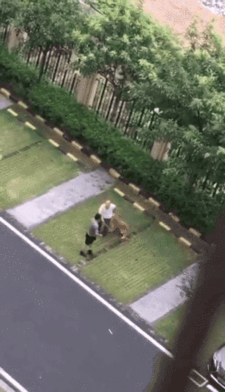 顺德打死金毛凶手已被刑拘，贱贱一路走好！-3.gif