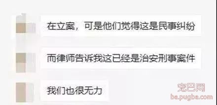 顺德打死金毛凶手已被刑拘，贱贱一路走好！-16.jpeg