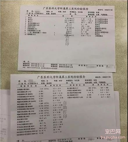 顺德打死金毛凶手已被刑拘，贱贱一路走好！-14.jpeg