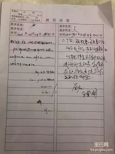 顺德打死金毛凶手已被刑拘，贱贱一路走好！-13.jpeg