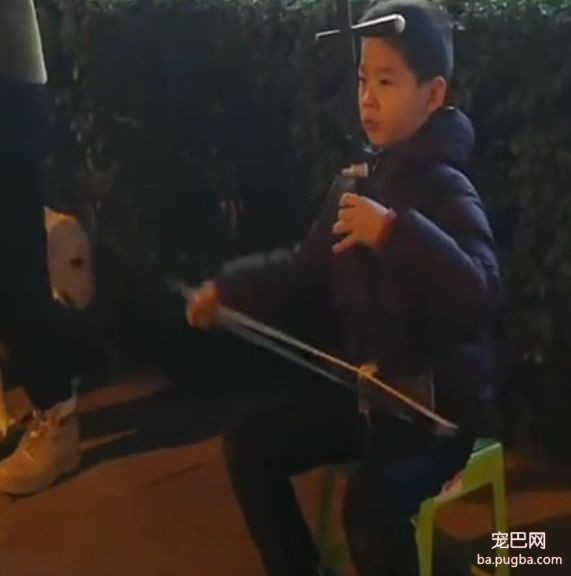 袁咏仪谈给儿子买狗：你先去宠物店捡狗屎……-12.jpeg