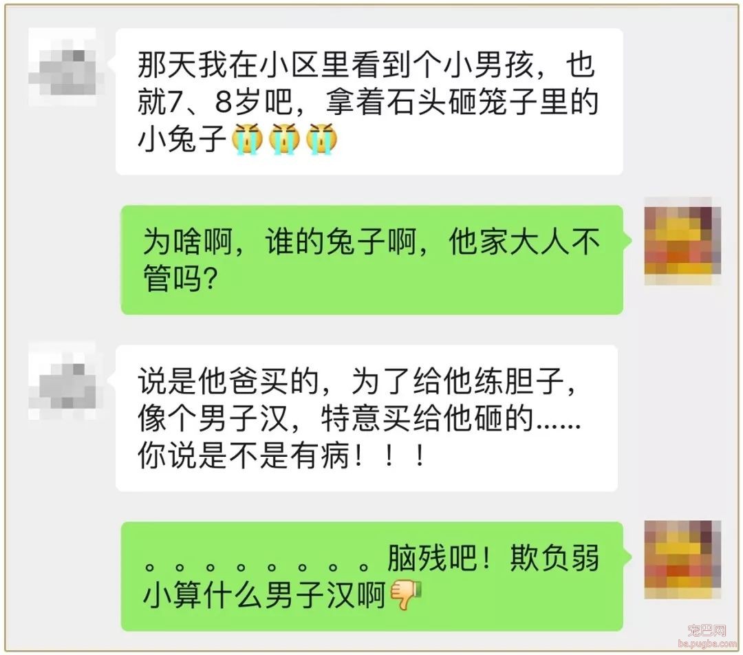袁咏仪谈给儿子买狗：你先去宠物店捡狗屎……-8.jpeg