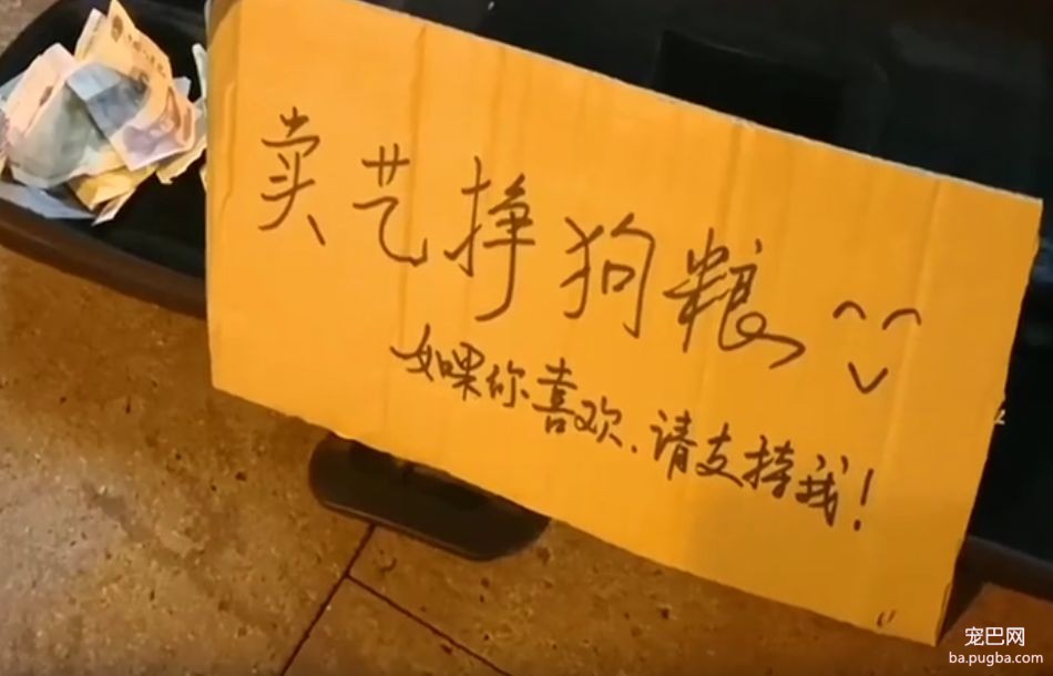 袁咏仪谈给儿子买狗：你先去宠物店捡狗屎……-9.jpeg