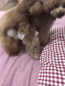 不要耍流氓！-1.gif
