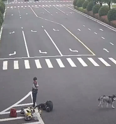 二哈闯红灯横穿马路，撞倒正在骑行的老爷爷，之后的做法太现实-3.jpeg