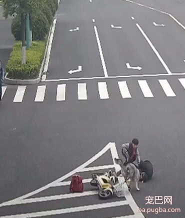 二哈闯红灯横穿马路，撞倒正在骑行的老爷爷，之后的做法太现实-2.jpeg
