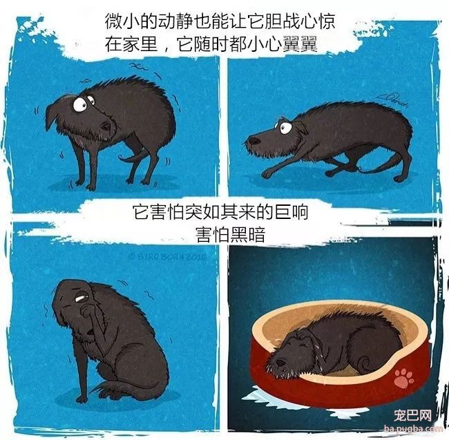 狗狗被救前后的性格变化有多大？看看这些就知道了！-2.jpeg