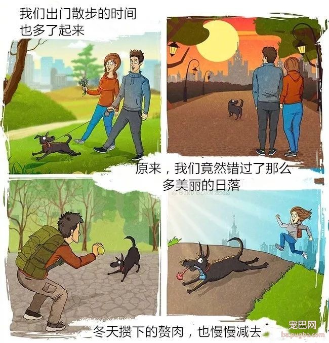 狗狗被救前后的性格变化有多大？看看这些就知道了！-5.jpeg