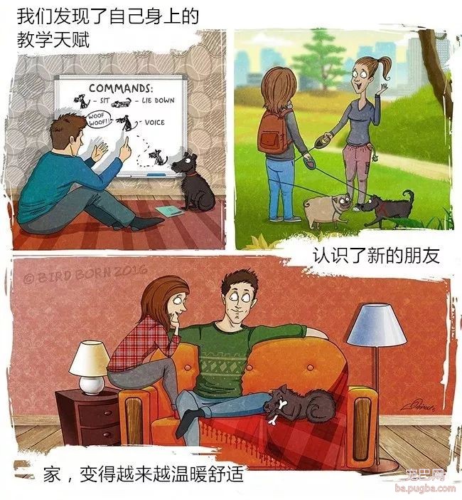 狗狗被救前后的性格变化有多大？看看这些就知道了！-6.jpeg