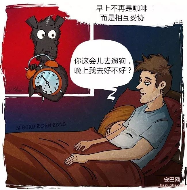 狗狗被救前后的性格变化有多大？看看这些就知道了！-7.jpeg