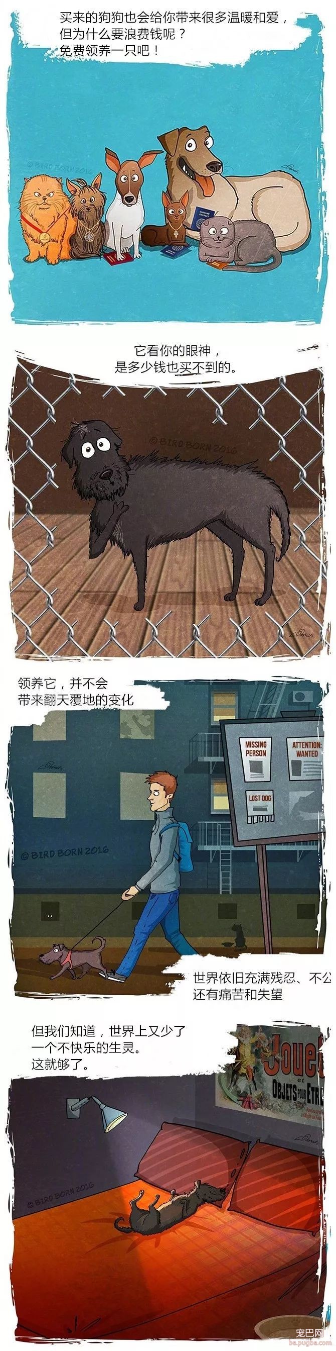 狗狗被救前后的性格变化有多大？看看这些就知道了！-9.jpeg
