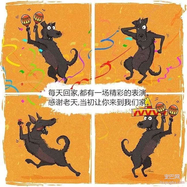 狗狗被救前后的性格变化有多大？看看这些就知道了！-8.jpeg