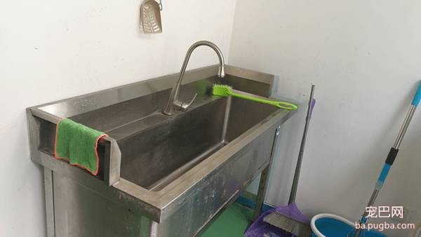 我们跑了上海7家权威的宠物医院，得出的结论是……-5.jpeg