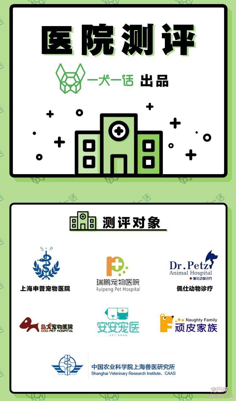 我们跑了上海7家权威的宠物医院，得出的结论是……-2.jpeg