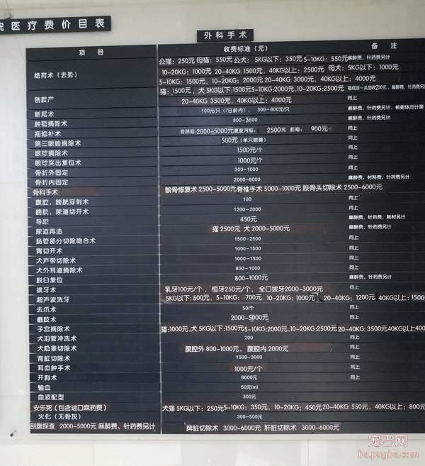 我们跑了上海7家权威的宠物医院，得出的结论是……-17.jpeg