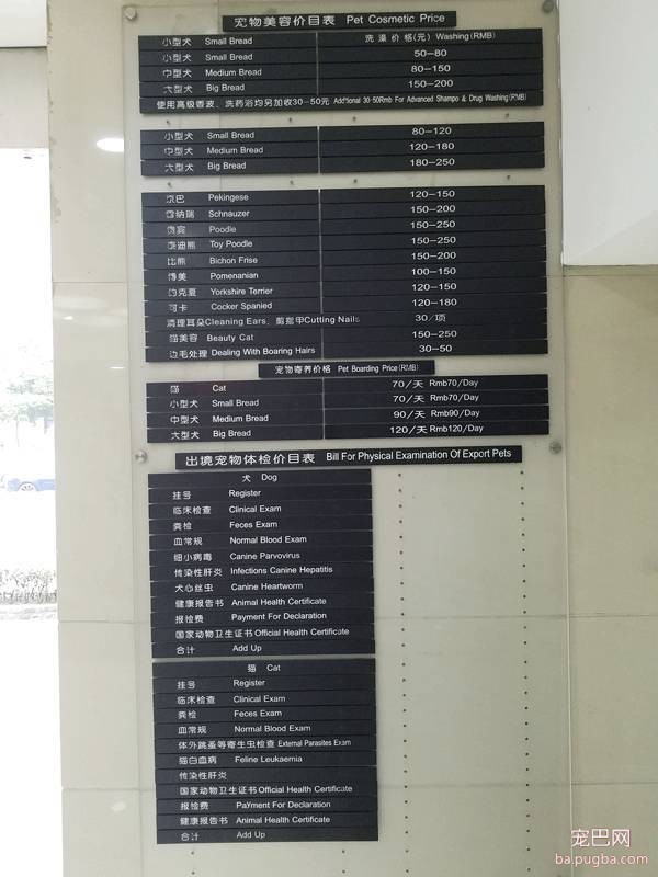 我们跑了上海7家权威的宠物医院，得出的结论是……-16.jpeg