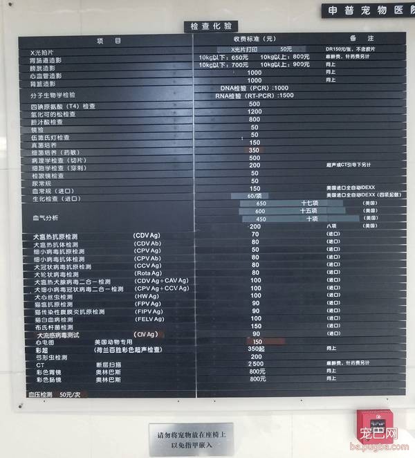 我们跑了上海7家权威的宠物医院，得出的结论是……-18.jpeg