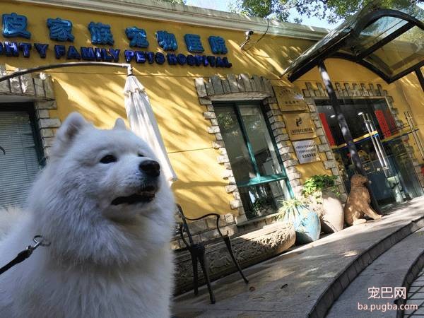 我们跑了上海7家权威的宠物医院，得出的结论是……-30.jpeg