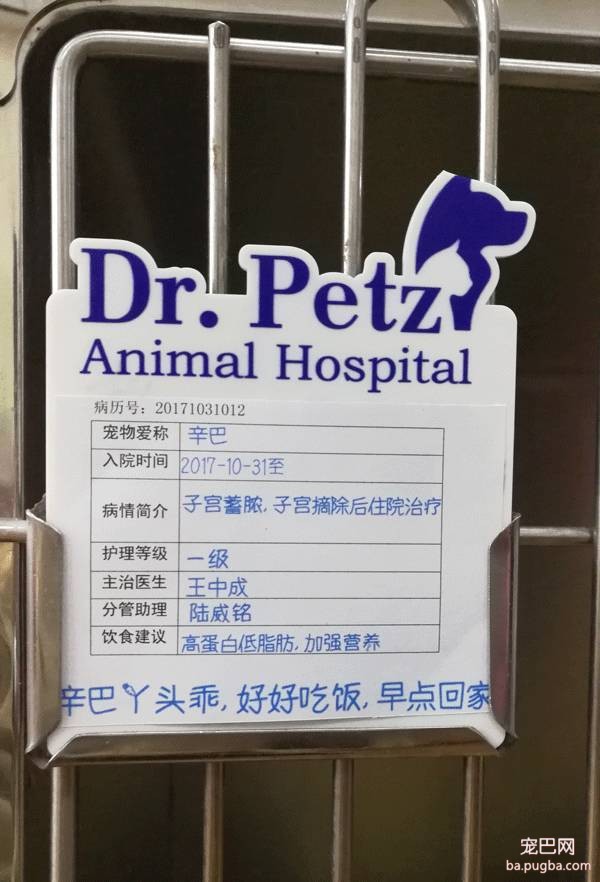 我们跑了上海7家权威的宠物医院，得出的结论是……-39.jpeg