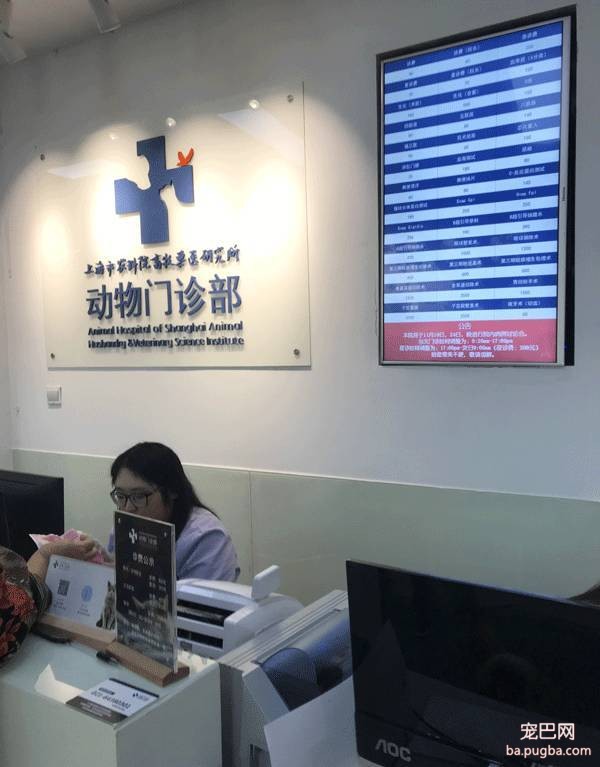 我们跑了上海7家权威的宠物医院，得出的结论是……-51.jpeg
