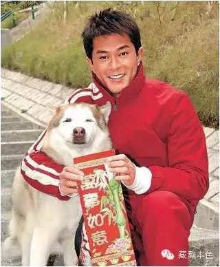 若要结婚 就嫁一个养狗的男人！-3.jpeg