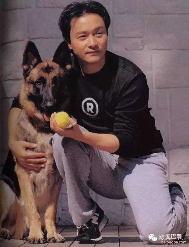 若要结婚 就嫁一个养狗的男人！-11.jpeg