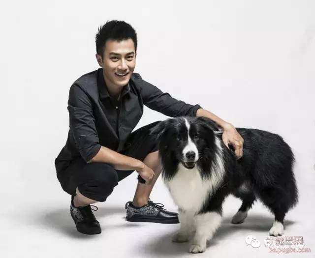 若要结婚 就嫁一个养狗的男人！-10.jpeg
