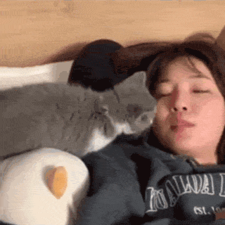 你家猫对你做过什么有爱的举动？-20.gif