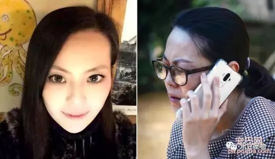 女孩救狗三年仿佛老了二十岁，女孩：比起狗狗的命这不算什么…-1.jpeg
