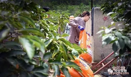 女孩救狗三年仿佛老了二十岁，女孩：比起狗狗的命这不算什么…-5.jpeg