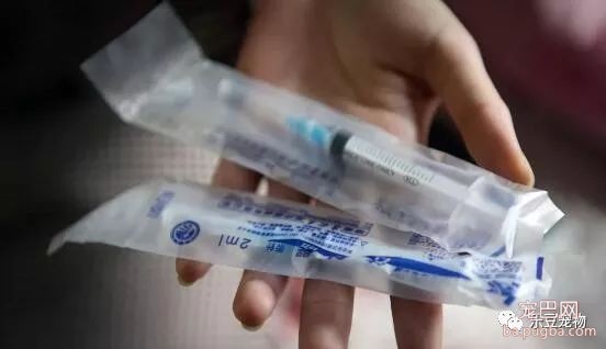 女孩救狗三年仿佛老了二十岁，女孩：比起狗狗的命这不算什么…-9.jpeg
