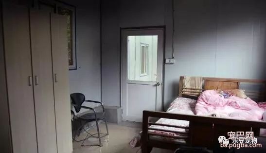 女孩救狗三年仿佛老了二十岁，女孩：比起狗狗的命这不算什么…-12.jpeg
