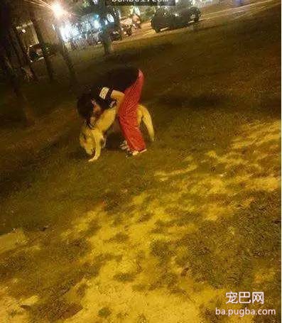 板车躺着一只全身瘫软的狗狗，一旁的狗主人竟说出让人心酸的真相-3.jpeg