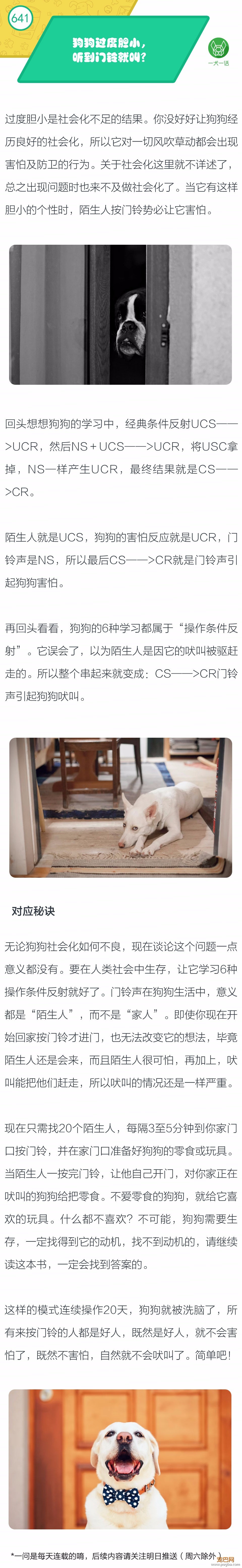 狗狗过度胆小，听到门铃就叫？-1.jpeg