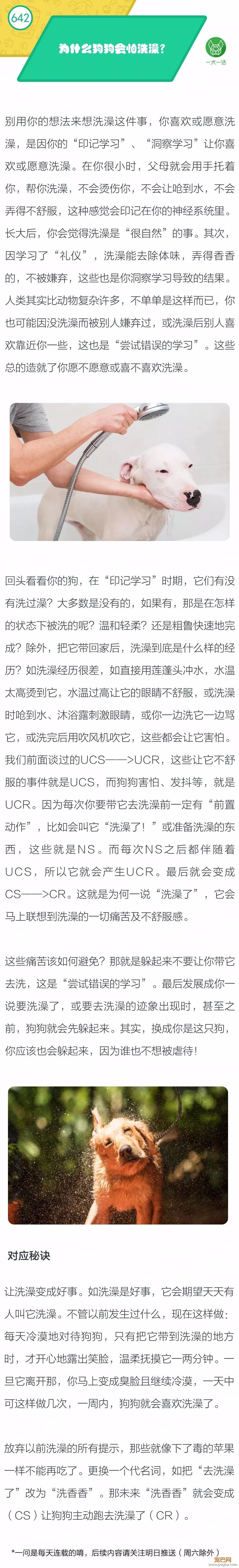 为什么狗狗会怕洗澡？-1.jpeg