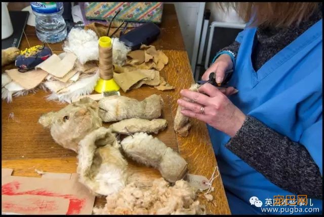 她开了家给泰迪熊治病的诊所，这一干就是17年...-11.jpeg