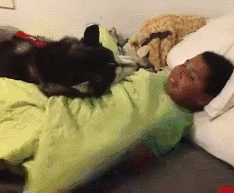 说出来你可能不信，我迟到真的是因为我家狗……-7.gif
