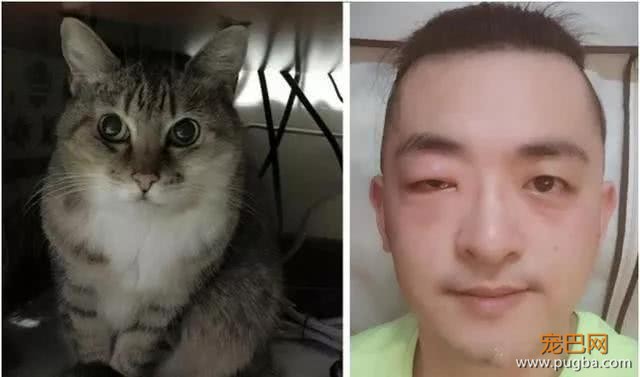 铲屎官对猫咪有严重过敏，但仍旧不离不弃，守护爱猫21个年头-4.jpeg