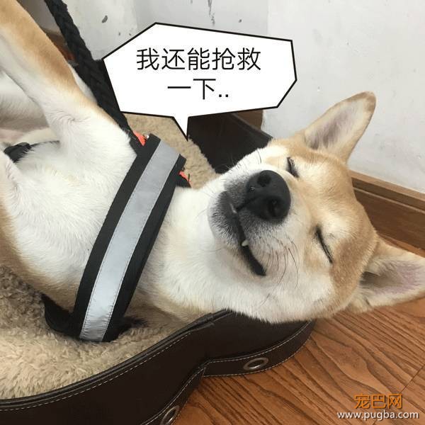 3天祛除便臭，7天祛淡口臭，这是怎么做到的？-1.jpeg