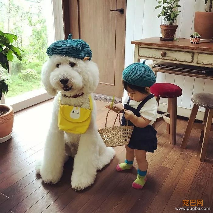 一出生就有三只巨贵组成的黑白骑士团等着宠你，这人生开挂了吧！-18.jpeg