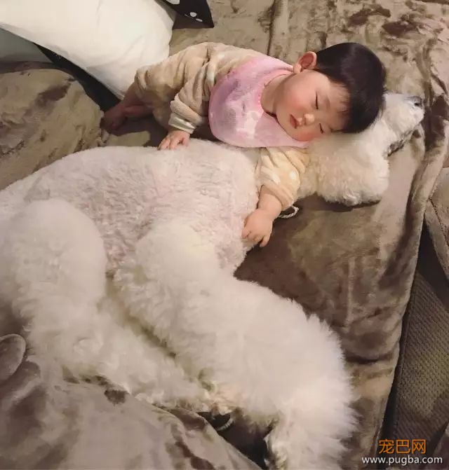 一出生就有三只巨贵组成的黑白骑士团等着宠你，这人生开挂了吧！-16.jpeg