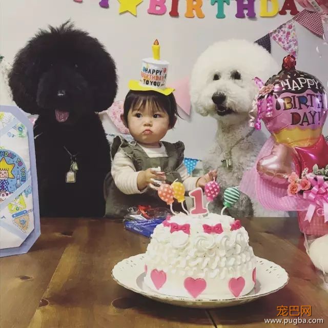 一出生就有三只巨贵组成的黑白骑士团等着宠你，这人生开挂了吧！-20.jpeg