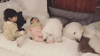 一出生就有三只巨贵组成的黑白骑士团等着宠你，这人生开挂了吧！-32.gif